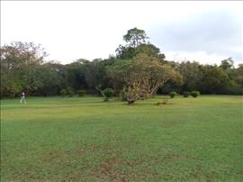 Karen Blixen